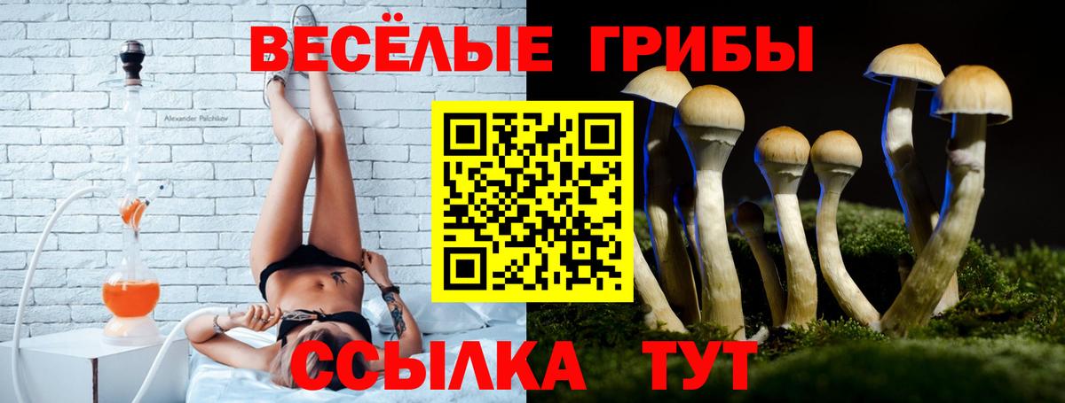 как найти   Галлюциногенные грибы мицелий  Вход с VPN  Псилоцибиновые грибы GOLDEN TEACHER  Донецк 